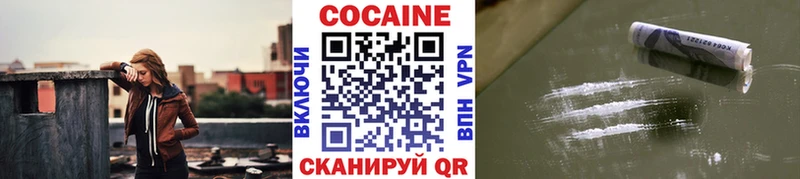 Купить где Александровск-Сахалинский COCAIN Fish Scale