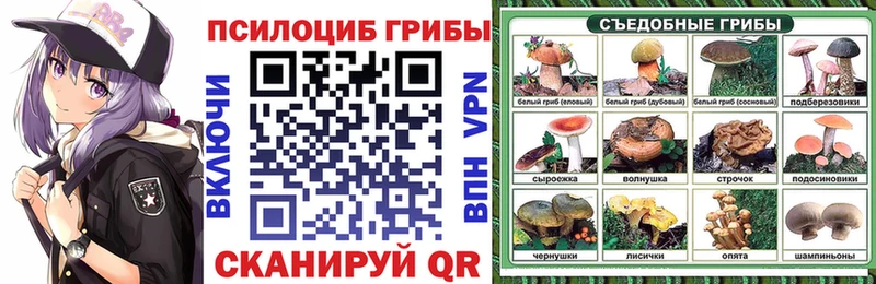 Купить закладки  Александровск-Сахалинский  Псилоцибиновые грибы Psilocybine cubensis 